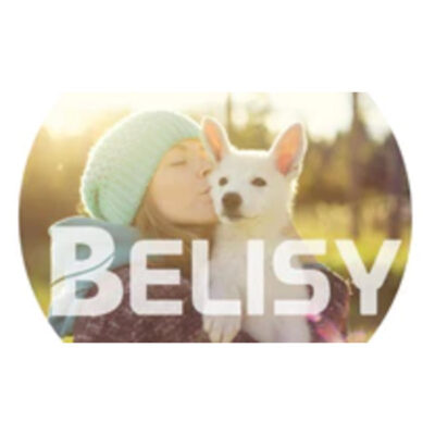 Belisy